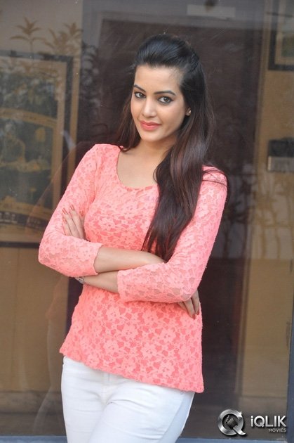 Diksha-Panth-at-Kavvintha-Movie-Press-Meet